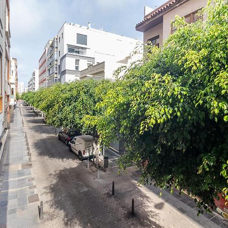 Flatguest Malva Studio Λας Πάλμας ντε Γκραν Κανάρια Εξωτερικό φωτογραφία
